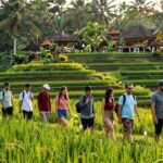 Ubud rice terraces tour with Russian guide