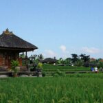Balinese rice paddies and traditional house with Russian couple.